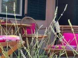 Apartman Sage, 2+1. Maslenica, Zadar