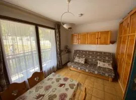 Appartement cosy à Praz-sur-Arly - 35 m² - Vue montagne