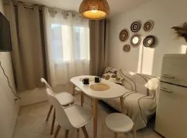 Potato apartment nearby downtown, no parking, 4th floor, no elevator, pets allowed