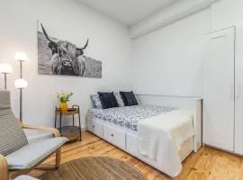 Charming Studio with Garden in Porto