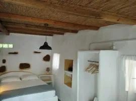 Venduri House