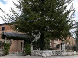 LH Albergo Il Picchio