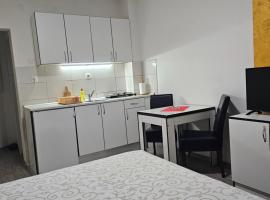 Apartmani Borko 3-1, hotel v destinaci Loznica