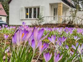 Ferienhaus am weißen Adler, hotel v Drážďanech