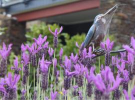 Maymorn Orchard Suite, hotel v destinaci Upper Hutt