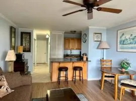 Maui Vista. 1 bedroom fully furnished condo across from Kam 1 Beach. Walking distance to restaurants and shops.