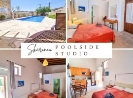 Skarinou Poolside Escape Studio with all the modern facilities and Pool facilities, apartment in Skarinou