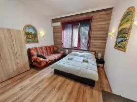 Central 1-BR Apartment