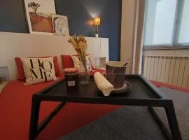 Les Cactus