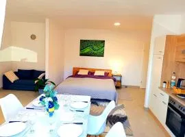 Family Apartments Tauchen