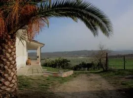 TENUTA FATTORE