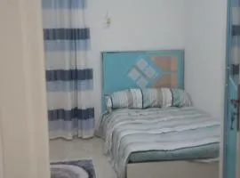 Homex RT