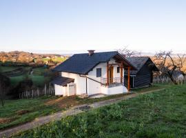 Vineyard cottage Majolka, hotel em Novo Mesto