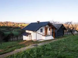 Vineyard cottage Majolka