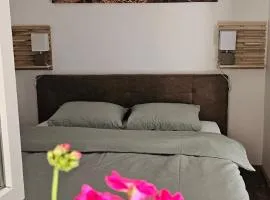 Apartman Pontica