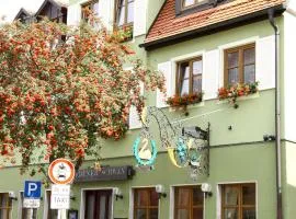 Hotel-Garni Goldener Schwan