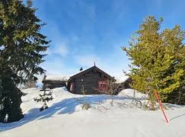 6 Bedroom Lovely Home In Treungen