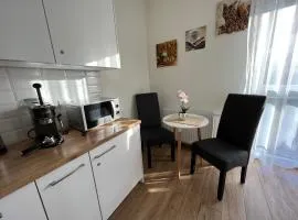 Apartamenty Kielce- Apartament Zacisze przy Baseny Tropikalne, Kadzielnia, parking, faktura,centrum