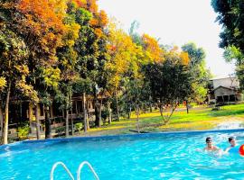 Chitwan Forest Resort , Chitwan National Park, hotel in Sauraha