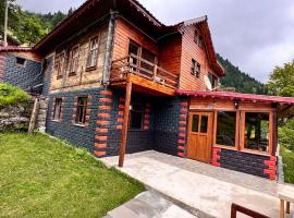 DERVİŞOĞLU DAĞ EVİ – hotel w mieście Çamlıhemşin