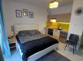 Apartament Olif
