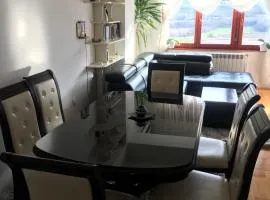 Sunny Luxury Apartment 2BDR
