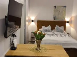 Cozy Studio Apartment LEPRIN in Labin Old Town