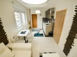 Apartman Sevojno