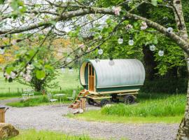 Glamping at The Old Rectory, campground in Dún Ard