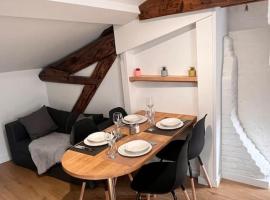 « Appartement Le Pigeonnier », cazare în regim self catering din Vienne