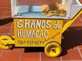 Humacao guest house