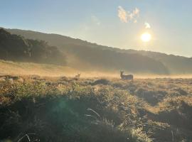 Hotel mango tree nearest Adam's peak، فندق بالقرب من جبل آدم، نالاثانيا