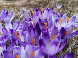 Góralska Chata przy Dolinie Chochołowskiej - gorąca balia, khách sạn ở Witów
