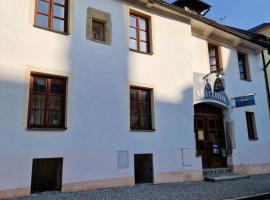 Pension U Martina, casa de hóspedes em Domazlice