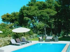 Villa Clementine with pool, sea view