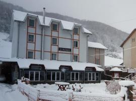 Vila Ivanović, hotel in Kopaonik