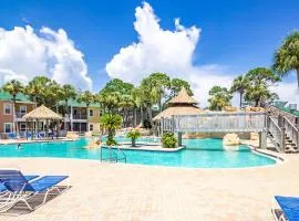 Purple Parrot 19Cd By Pkrm