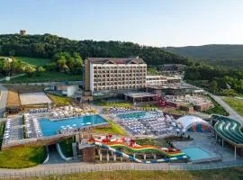 Movenpick Resort and Spa Fruske Terme