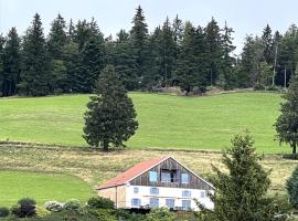 Maison d'Hôtes des Hauts de la Piquante Pierre – hotel z parkingiem w mieście Basse-sur-le-Rupt