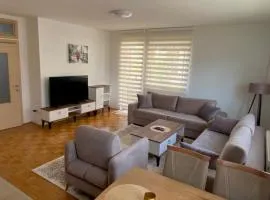 Gray Apartment 1 Pristina