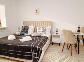 Studio Lounge, hotel u kojem su ljubimci dozvoljeni u gradu 'Craiova'