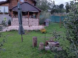 RAREȘ residence, holiday home in Sohodol