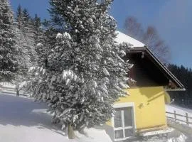 Alpine House in Prebl near Klippitztörl Ski Area