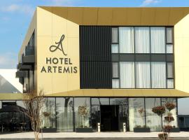 Hotel Artemis, hotell i Oradea