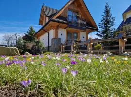 Apartamenty BENITA
