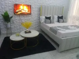 Stylish villa homes