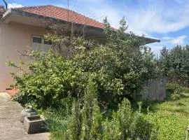 Charming house in Gošići