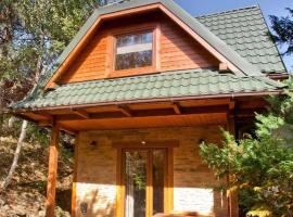Domek w Krynicy z sauną, cabin in Krynica Zdrój