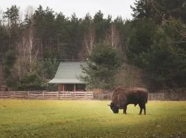 Leśna 21 Dom Północ przy ZALEW SIEMIANÓWKA