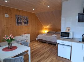 Noclegi Pod Modrzewiem, holiday rental in Powidz